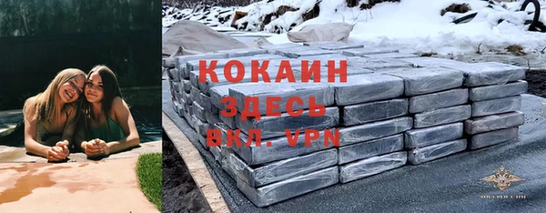 винт Алексин