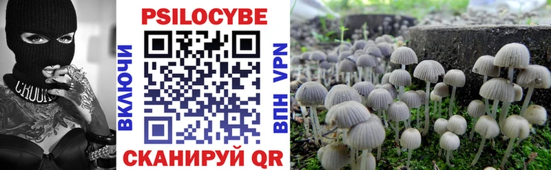 закладка Нерехта Псилоцибиновые грибы Magic Shrooms